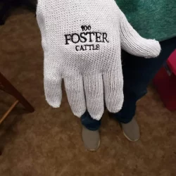 Embroidered white glove