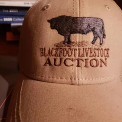Blackfoot livestock auction hat